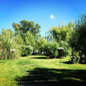 tenuta-di-polline-gallery-location-09